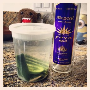 Jalapeño infused Mezcal