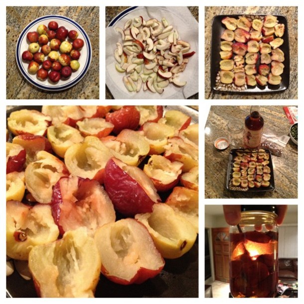 76231_10152148511610246_1936667722_n